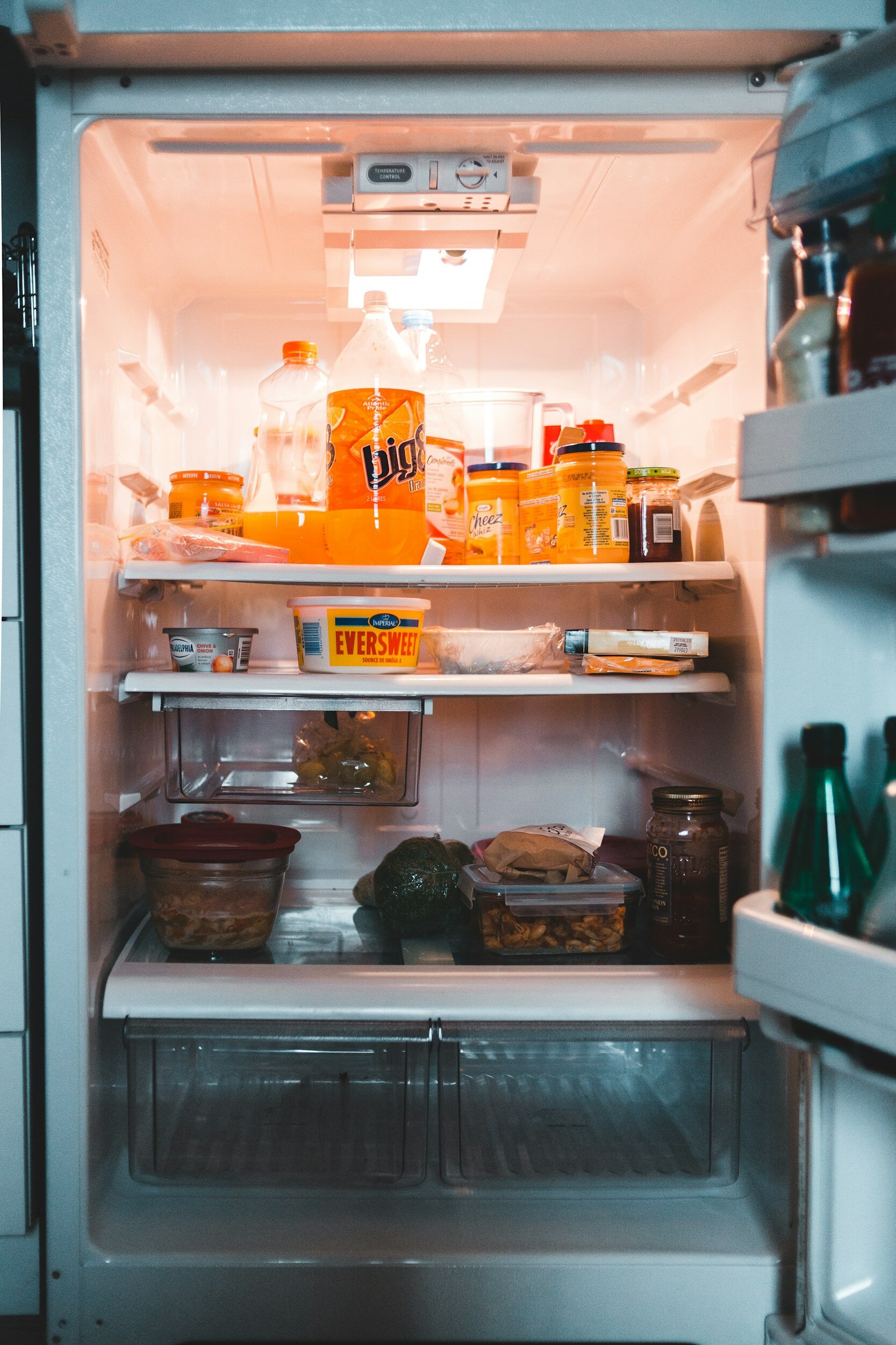 Refrigerator perishables